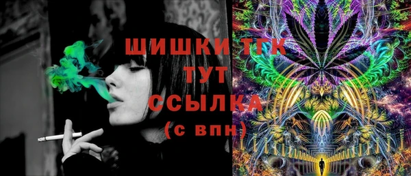 таблы Богородицк