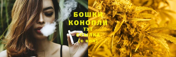 таблы Богородицк