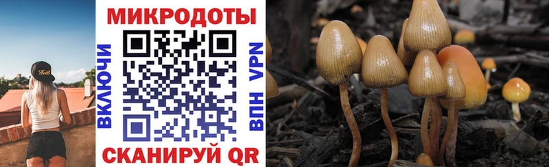 даркнет сайт  Калуга  Псилоцибиновые грибы Psilocybe 